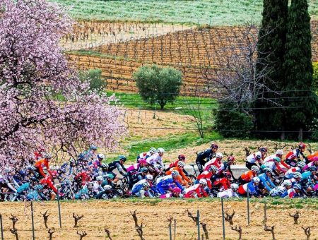 I vincitori della maglie del Tour de la Provence 2021